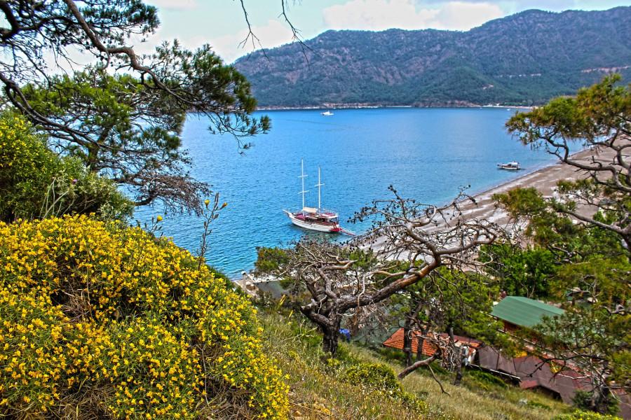 Adrasan Olympos Turu Adrasan Olympos Turu